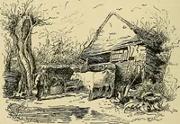An illustration from Pictures at South Kensington : the Raphael cartoons, the Sheepshanks collection, &c. (1877)