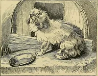 An illustration from Pictures at South Kensington : the Raphael cartoons, the Sheepshanks collection, &c. (1877)