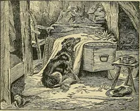 An illustration from Pictures at South Kensington : the Raphael cartoons, the Sheepshanks collection, &c. (1877)