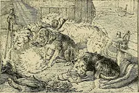 An illustration from Pictures at South Kensington : the Raphael cartoons, the Sheepshanks collection, &c. (1877)