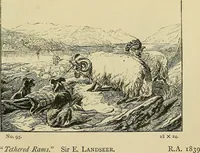 An illustration from Pictures at South Kensington : the Raphael cartoons, the Sheepshanks collection, &c. (1877)
