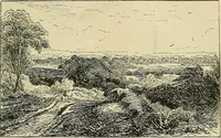 An illustration from Pictures at South Kensington : the Raphael cartoons, the Sheepshanks collection, &c. (1877)