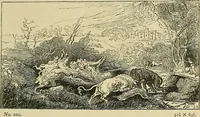 An illustration from Pictures at South Kensington : the Raphael cartoons, the Sheepshanks collection, &c. (1877)