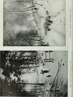 Picture 109 of 249 from The Pictures of 1909. Pall Mall Magazine extra, May 1909 (1909), leaf 103