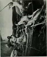An illustration from The Pictures of 1909. Pall Mall Magazine extra, May 1909 (1909)