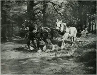 Picture 145 of 249 from The Pictures of 1909. Pall Mall Magazine extra, May 1909 (1909), leaf 123