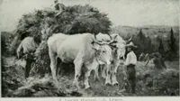 Picture 147 of 249 from The Pictures of 1909. Pall Mall Magazine extra, May 1909 (1909), leaf 124