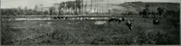 Picture 175 of 249 from The Pictures of 1909. Pall Mall Magazine extra, May 1909 (1909), leaf 141