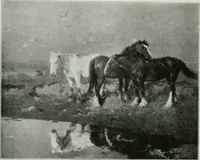 An illustration from The Pictures of 1909. Pall Mall Magazine extra, May 1909 (1909)