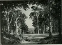 An illustration from The Pictures of 1909. Pall Mall Magazine extra, May 1909 (1909)