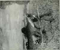 An illustration from The Pictures of 1909. Pall Mall Magazine extra, May 1909 (1909)