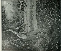 Picture 55 of 249 from The Pictures of 1909. Pall Mall Magazine extra, May 1909 (1909), leaf 61