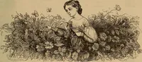 Picture 2 of 189 from Pictures of the French: a series of literary and graphic delineations of French character (1840), leaf 14