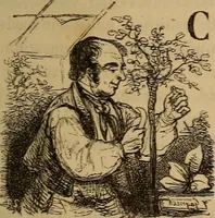 Picture 64 of 189 from Pictures of the French: a series of literary and graphic delineations of French character (1840), leaf 208