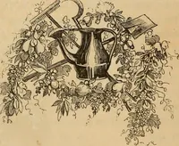 An illustration from Pictures of the French: a series of literary and graphic delineations of French character (1840)