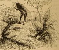 An illustration from Pictures of the French: a series of literary and graphic delineations of French character (1840)