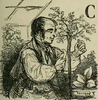 An illustration from Pictures of the French, a series of literary and graphic delineations of French character (1840)