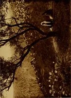 An illustration from ...Picturesque Greece architecture, landscape, life of the people (1922)
