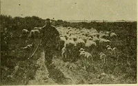 An illustration from Picture studies; studies of one hundred five of the world's famous pictures best adapted for use in the schools and for schoolroom decoration (1917)