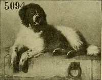 An illustration from Picture studies; studies of one hundred five of the world's famous pictures best adapted for use in the schools and for schoolroom decoration (1917)