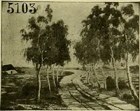 An illustration from Picture studies; studies of one hundred five of the world's famous pictures best adapted for use in the schools and for schoolroom decoration (1917)
