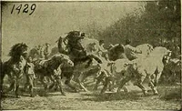 An illustration from Picture studies; studies of one hundred five of the world's famous pictures best adapted for use in the schools and for schoolroom decoration (1917)