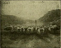 An illustration from Picture studies; studies of one hundred five of the world's famous pictures best adapted for use in the schools and for schoolroom decoration (1917)