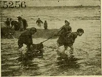 An illustration from Picture studies; studies of one hundred five of the world's famous pictures best adapted for use in the schools and for schoolroom decoration (1917)