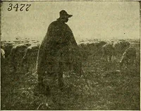 An illustration from Picture studies; studies of one hundred five of the world's famous pictures best adapted for use in the schools and for schoolroom decoration (1917)