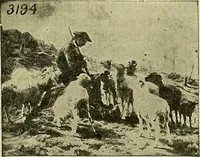 An illustration from Picture studies; studies of one hundred five of the world's famous pictures best adapted for use in the schools and for schoolroom decoration (1917)