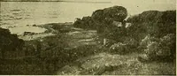An illustration from Picture studies; studies of one hundred five of the world's famous pictures best adapted for use in the schools and for schoolroom decoration (1917)