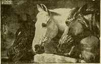 An illustration from Picture studies; studies of one hundred five of the world's famous pictures best adapted for use in the schools and for schoolroom decoration (1917)