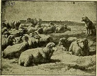An illustration from Picture studies; studies of one hundred five of the world's famous pictures best adapted for use in the schools and for schoolroom decoration (1917)