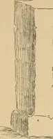 Picture 21 of 88 from Épigraphie romaine du Poitou [et] de la Saintonge (1895), leaf 444