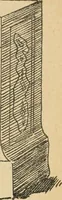 An illustration from Épigraphie romaine du Poitou [et] de la Saintonge (1895)