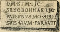 Picture 86 of 88 from Épigraphie romaine du Poitou [et] de la Saintonge (1895), leaf 564