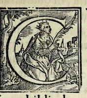 Picture 2 of 6 from Pii secvndi pontificis max. Commentarii rerum memorabilium, quae temporibus suis contigerunt (1584), leaf 11