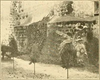 Picture 86 of 125 from Pilgrimage of Mary commandery no. 36, Knights templar of Pennsylvania to the Twenty-ninth triennial conclave of the Grand encampment U.S. at San Francisco, Cal (1904), leaf 131