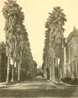 Picture 93 of 125 from Pilgrimage of Mary commandery no. 36, Knights templar of Pennsylvania to the Twenty-ninth triennial conclave of the Grand encampment U.S. at San Francisco, Cal (1904), leaf 142