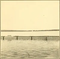 Picture 11 of 125 from Pilgrimage of Mary commandery no. 36, Knights templar of Pennsylvania to the Twenty-ninth triennial conclave of the Grand encampment U.S. at San Francisco, Cal (1904), leaf 22