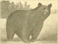 An illustration from Pilgrimage of Mary commandery no. 36, Knights templar of Pennsylvania to the Twenty-ninth triennial conclave of the Grand encampment U.S. at San Francisco, Cal (1904)