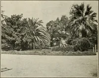 Picture 78 of 119 from Pilgrimage of Mary commandery no. 36, Knights templar of Pennsylvania to the Twenty-ninth triennial conclave of the Grand encampment U.S. at San Francisco, Cal (1904), leaf 117