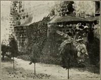 Picture 81 of 119 from Pilgrimage of Mary commandery no. 36, Knights templar of Pennsylvania to the Twenty-ninth triennial conclave of the Grand encampment U.S. at San Francisco, Cal (1904), leaf 125