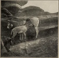 An illustration from Pilgrimage of Mary commandery no. 36, Knights templar of Pennsylvania to the Twenty-ninth triennial conclave of the Grand encampment U.S. at San Francisco, Cal (1904)