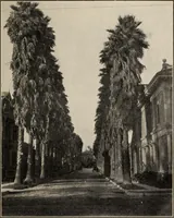 Picture 89 of 119 from Pilgrimage of Mary commandery no. 36, Knights templar of Pennsylvania to the Twenty-ninth triennial conclave of the Grand encampment U.S. at San Francisco, Cal (1904), leaf 136