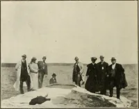 Picture 41 of 119 from Pilgrimage of Mary commandery no. 36, Knights templar of Pennsylvania to the Twenty-ninth triennial conclave of the Grand encampment U.S. at San Francisco, Cal (1904), leaf 53