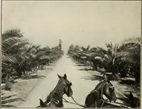 Picture 64 of 119 from Pilgrimage of Mary commandery no. 36, Knights templar of Pennsylvania to the Twenty-ninth triennial conclave of the Grand encampment U.S. at San Francisco, Cal (1904), leaf 87