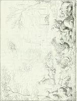 An illustration from Pinacoteca del Palazzo reale delle scienze e delle arti di Milano (1812)