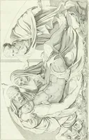 An illustration from Pinacoteca del Palazzo reale delle scienze e delle arti di Milano (1812)