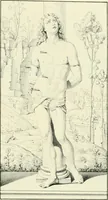 An illustration from Pinacoteca del Palazzo reale delle scienze e delle arti di Milano (1812)